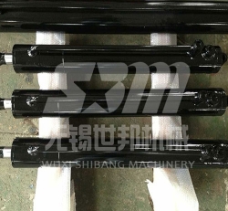 Engineering hydraulic cylinder